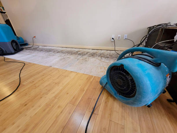 Professional Water Removal technician working in Clayton, WI
